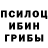 Галлюциногенные грибы Magic Shrooms charlyn montano