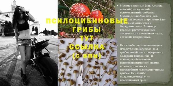 прущие крисы Белоозёрский