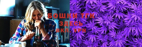 дурь Краснослободск