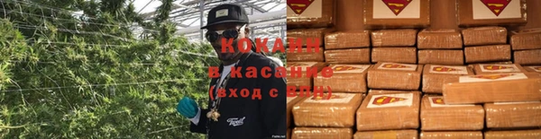 2c-b Белокуриха