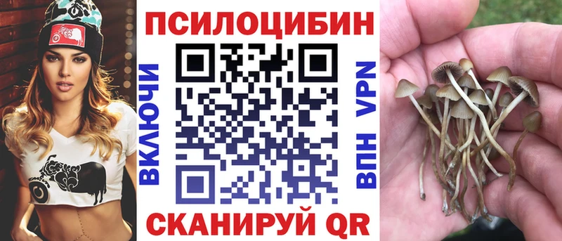 Галлюциногенные грибы мицелий  ссылка на мегу ONION  Волчанск 